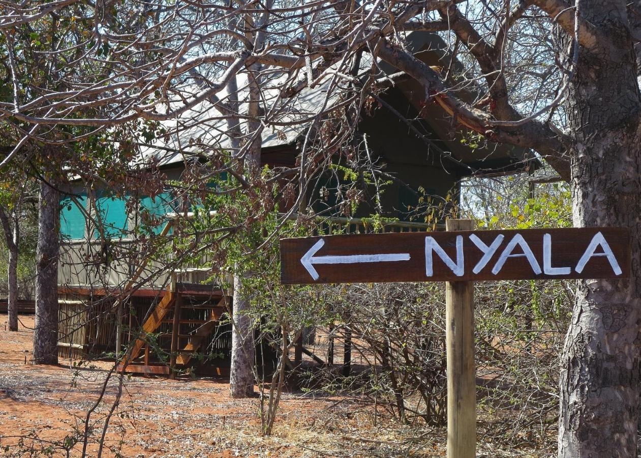 Vivo Iphofolo Lodge & Tented Camp מראה חיצוני תמונה