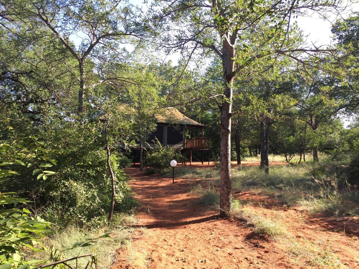 Vivo Iphofolo Lodge & Tented Camp מראה חיצוני תמונה