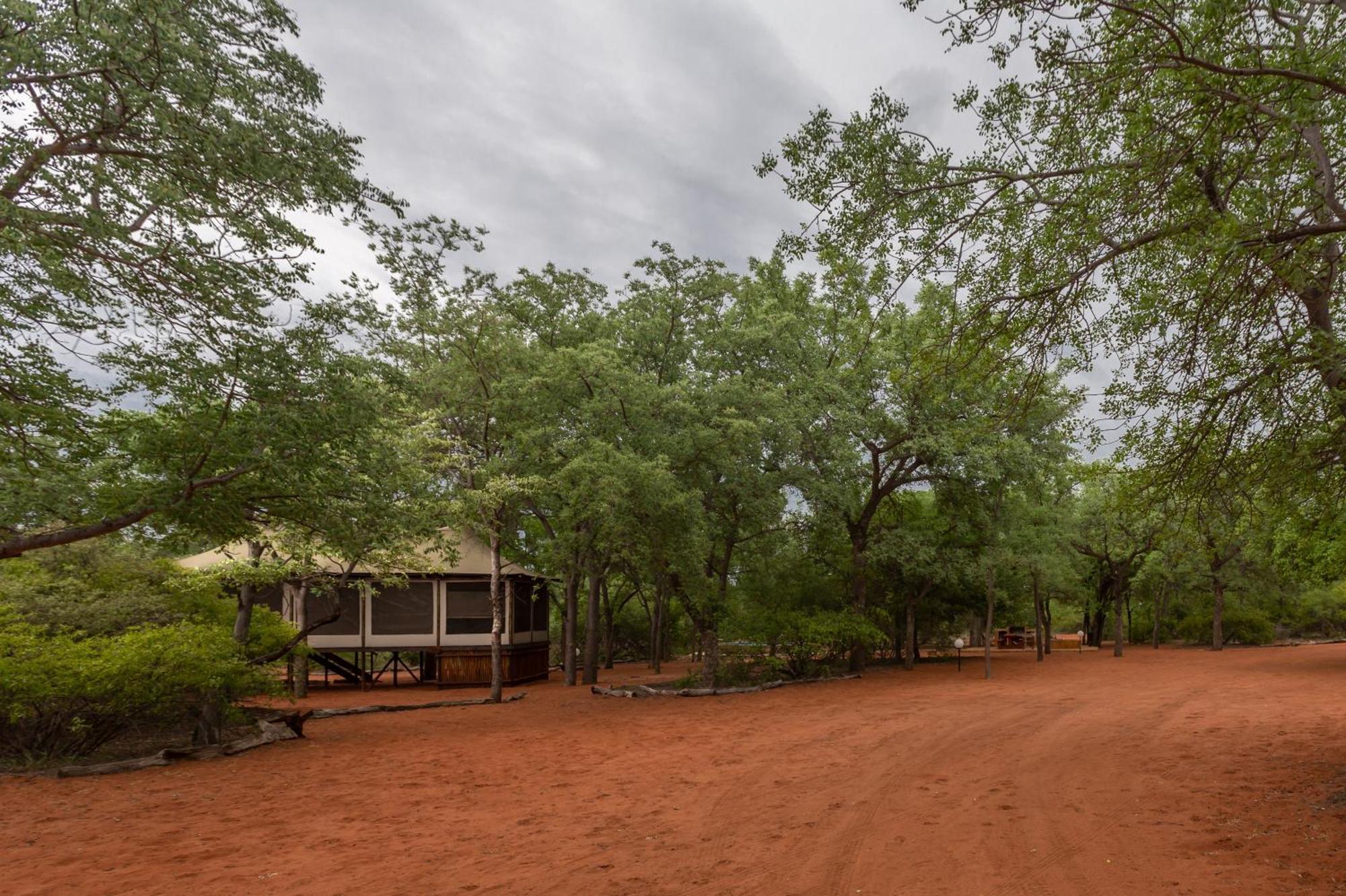 Vivo Iphofolo Lodge & Tented Camp מראה חיצוני תמונה