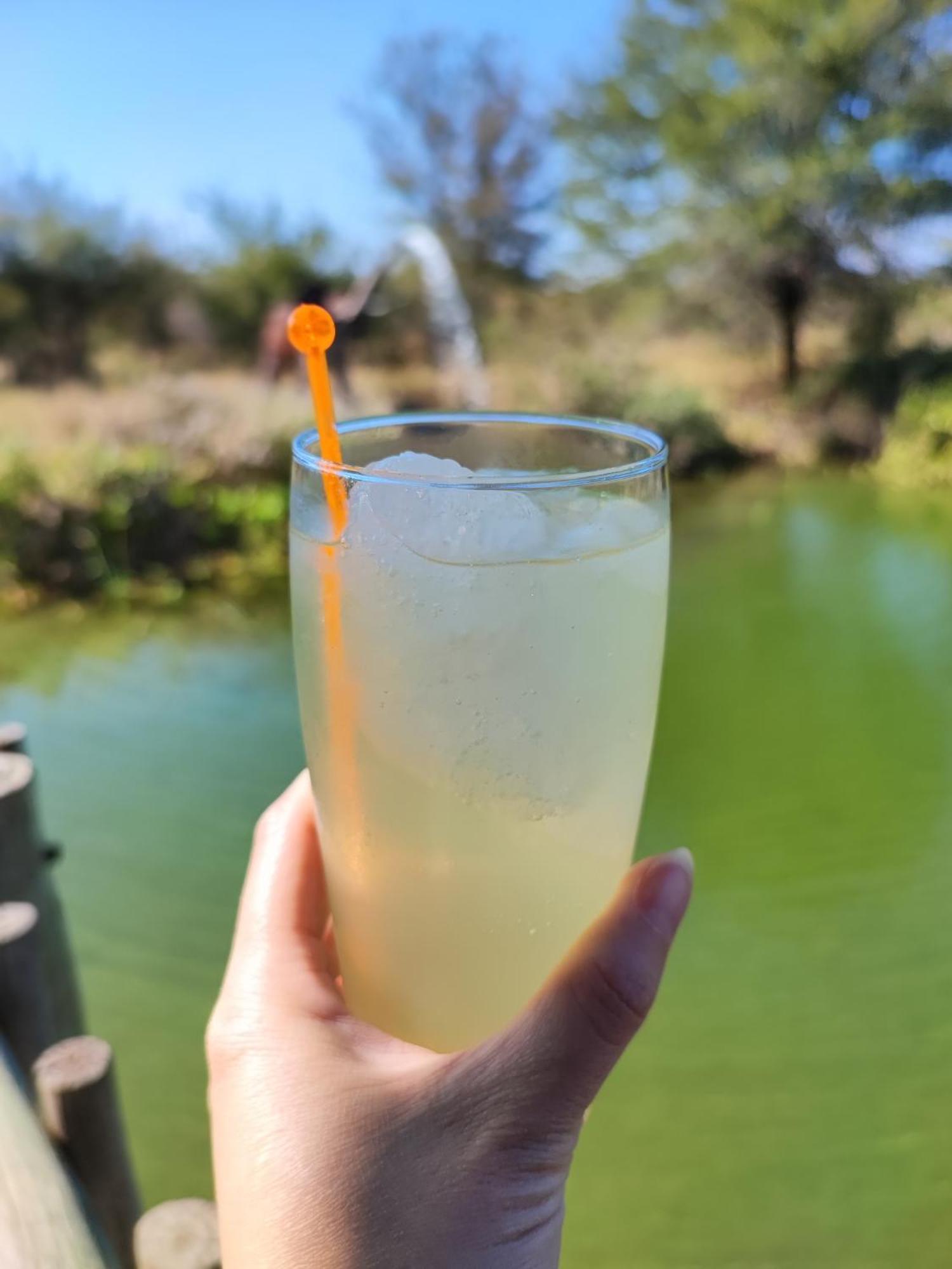 Vivo Iphofolo Lodge & Tented Camp מראה חיצוני תמונה